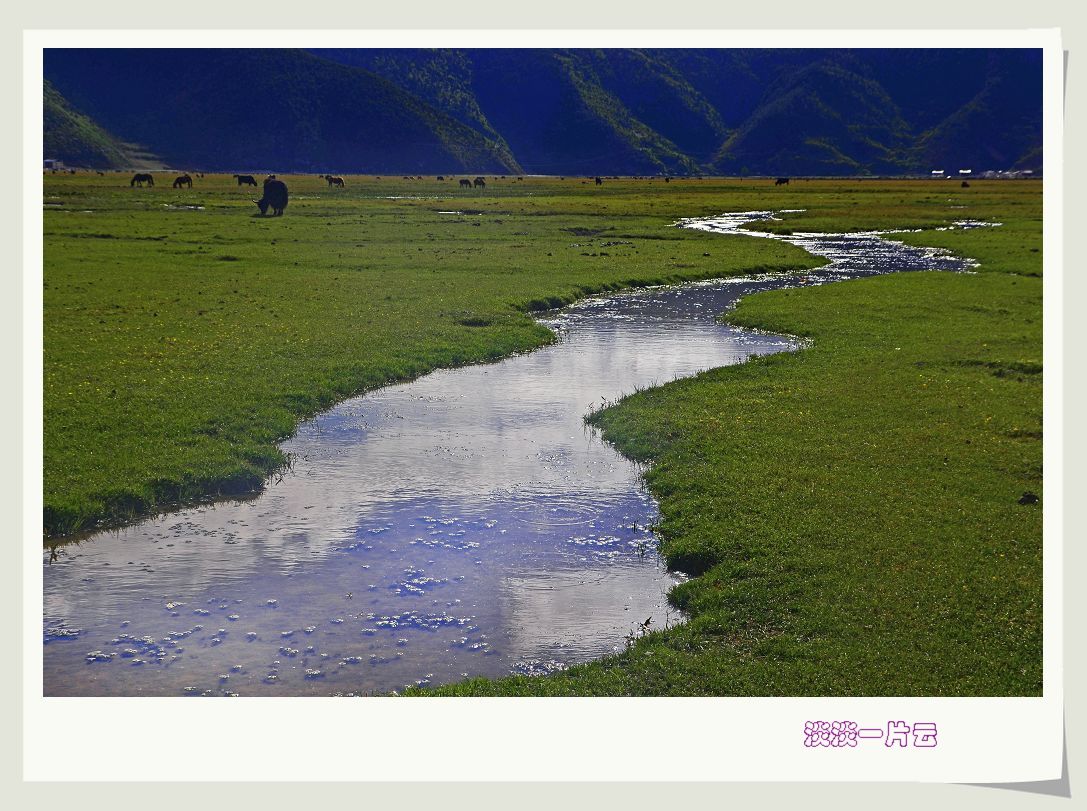 neo_img_dsc_8383.jpg