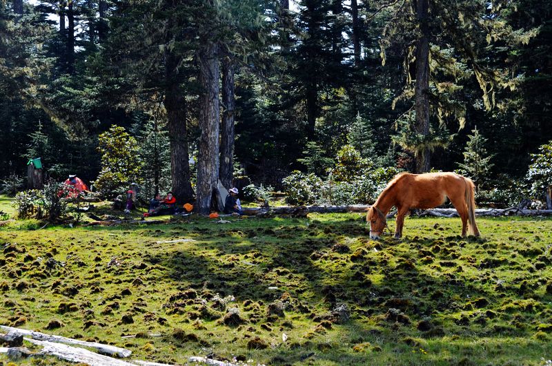 dsc_8272.jpg