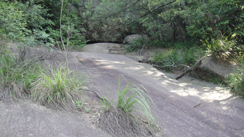 dsc08109.jpg