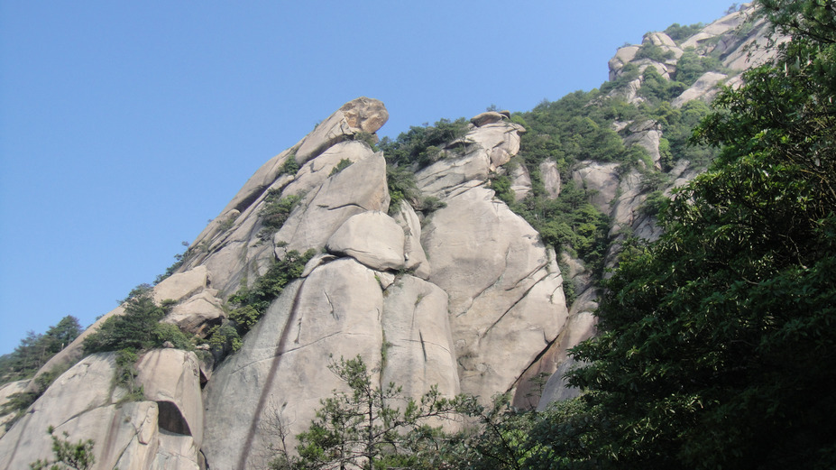 dsc08117.jpg