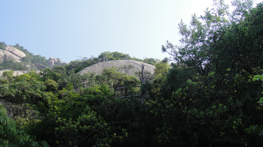 dsc08119.jpg