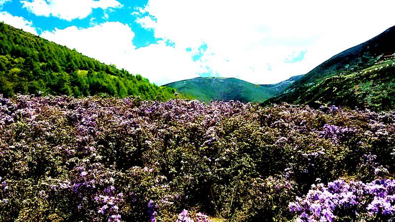 20140530_154406_.jpg