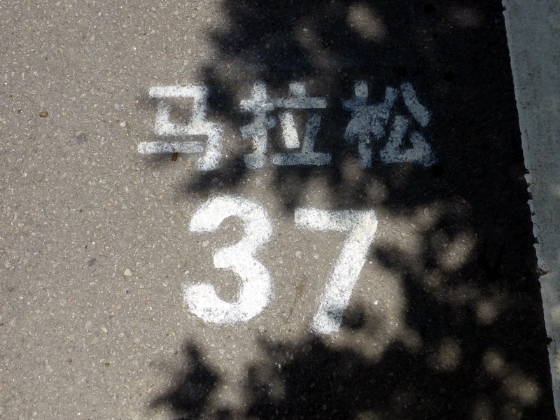 p1220340.jpg