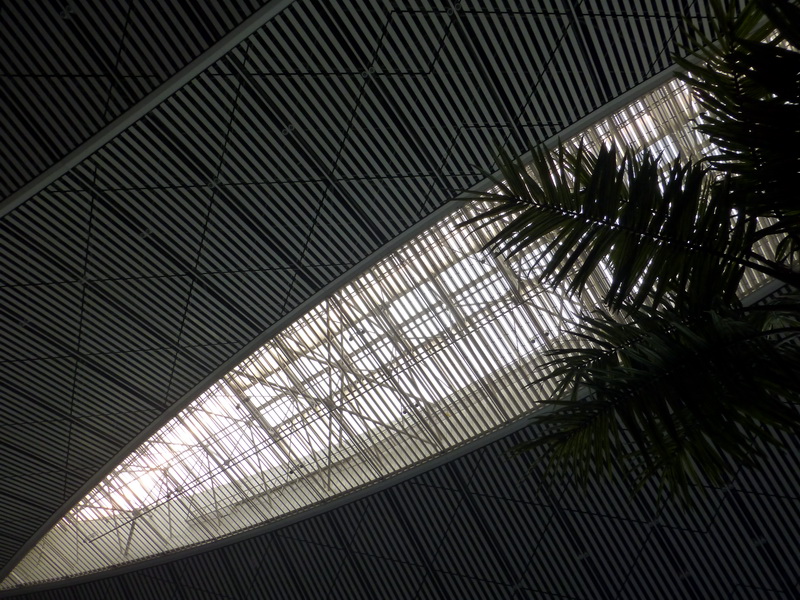 p1220403.jpg