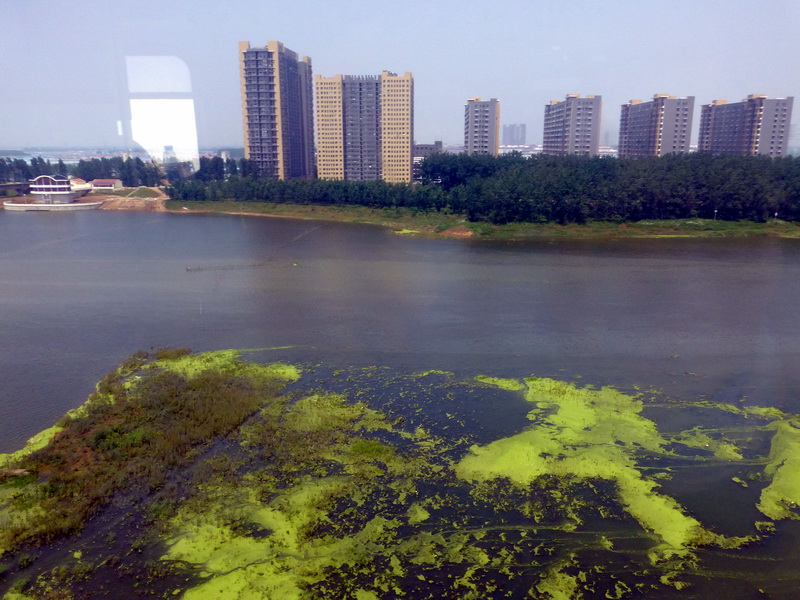 p1220418.jpg