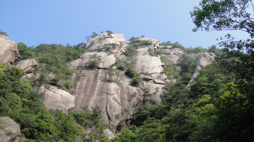 dsc08134.jpg