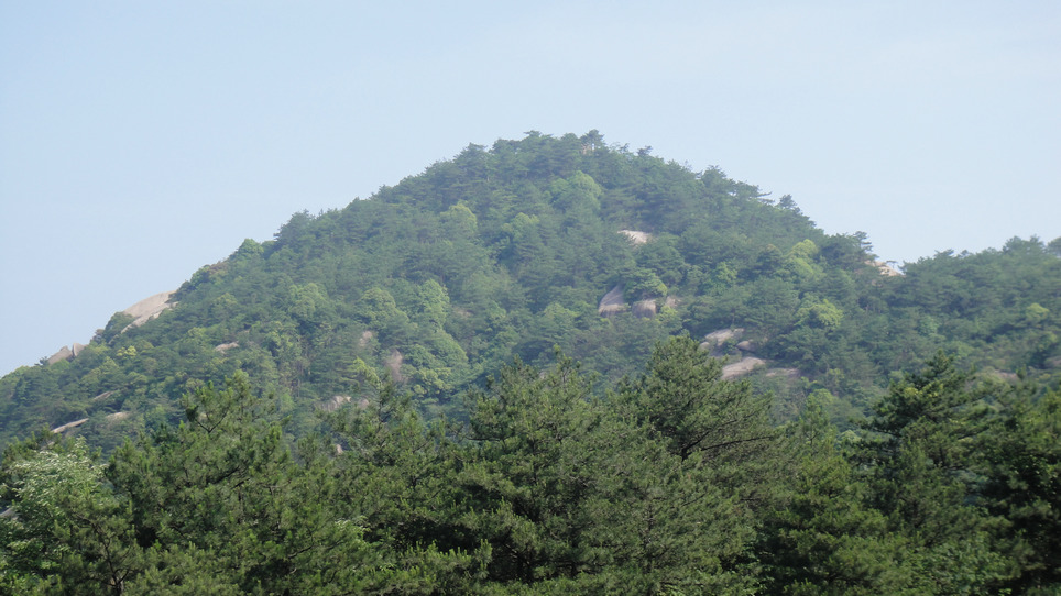 dsc08148.jpg