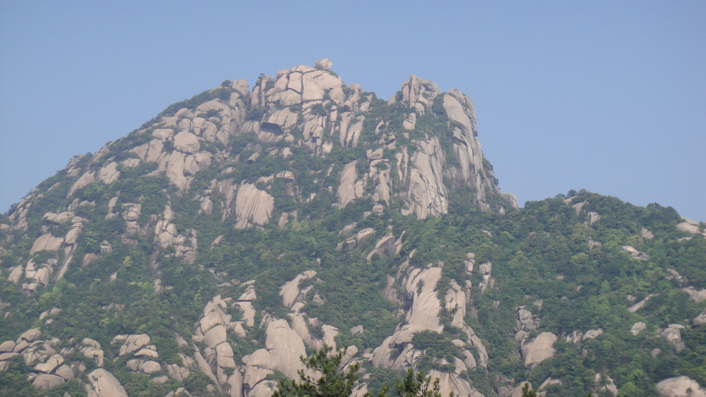 dsc08149.jpg