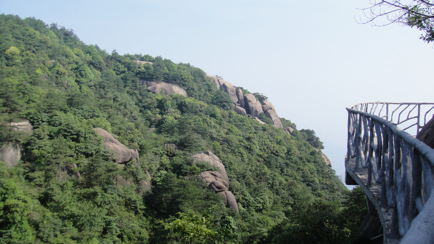 dsc08154.jpg