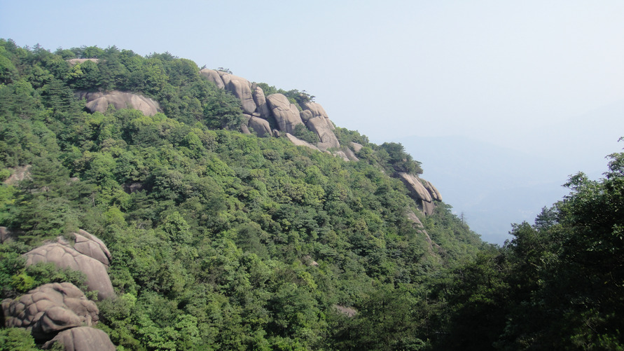 dsc08156.jpg