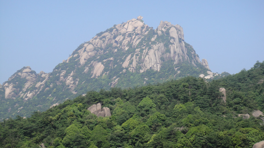 dsc08161.jpg
