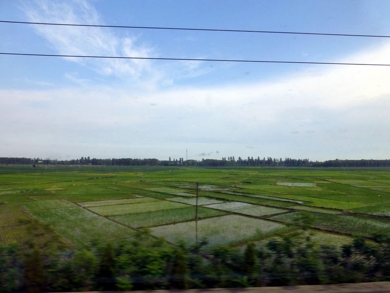 p1220515.jpg