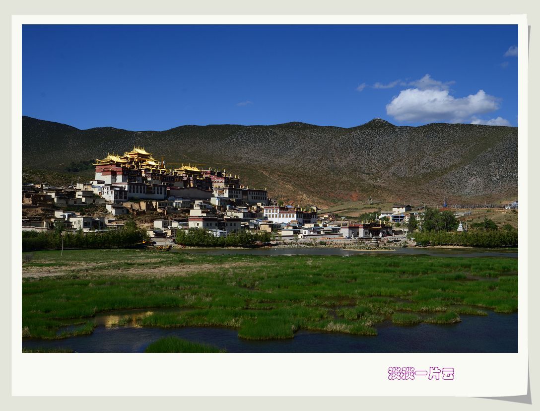 neo_img_dsc_0354.jpg
