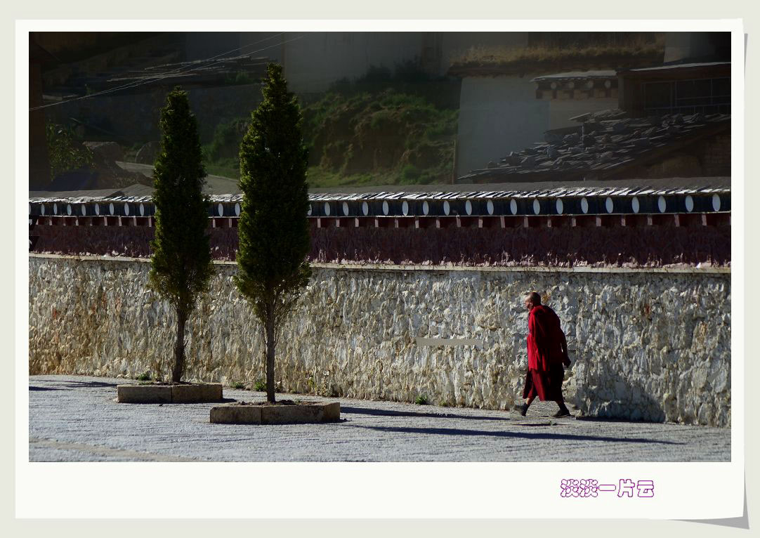 neo_img_dsc_0428.jpg
