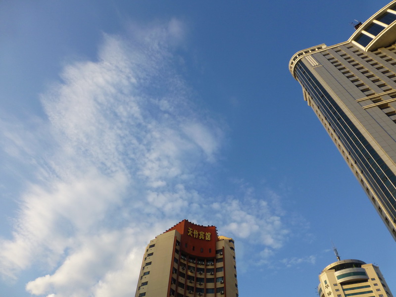 p1220575.jpg