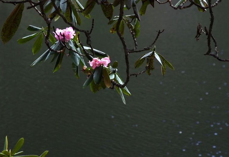 imgp9342aa.jpg