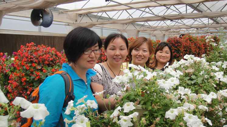 dsc08563.jpg