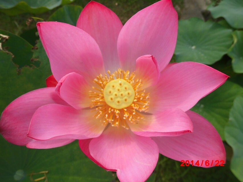 qqͼƬ20140624085550.jpg