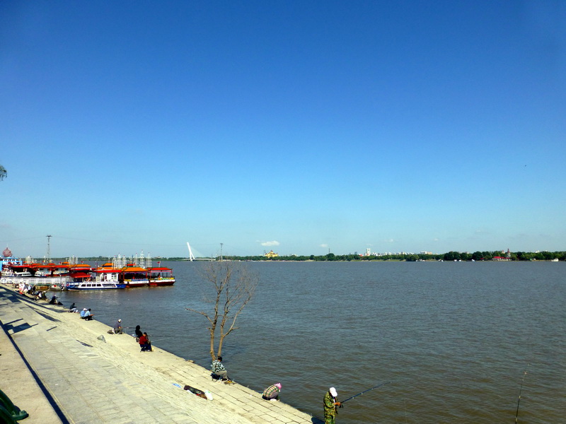 p1220598.jpg