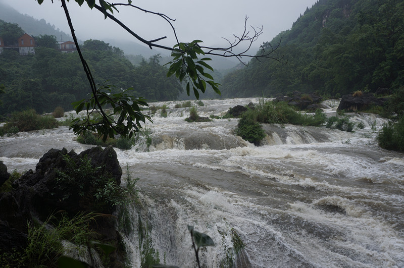 dsc01320_.jpg