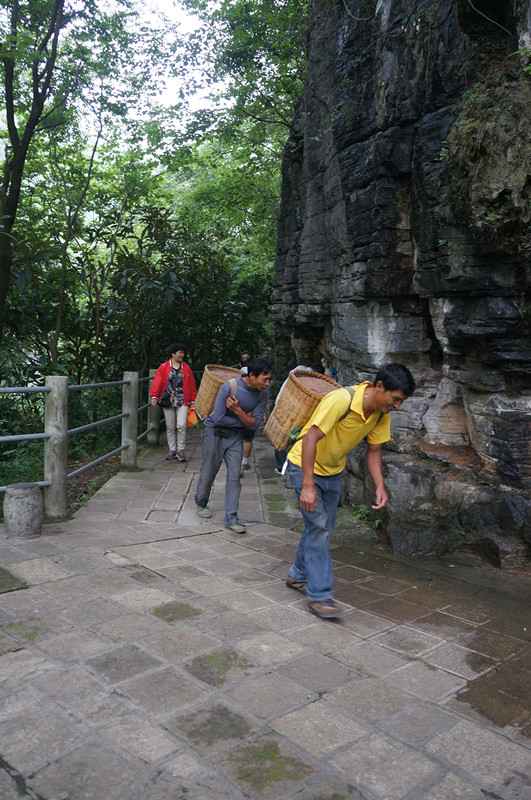 dsc01471_.jpg