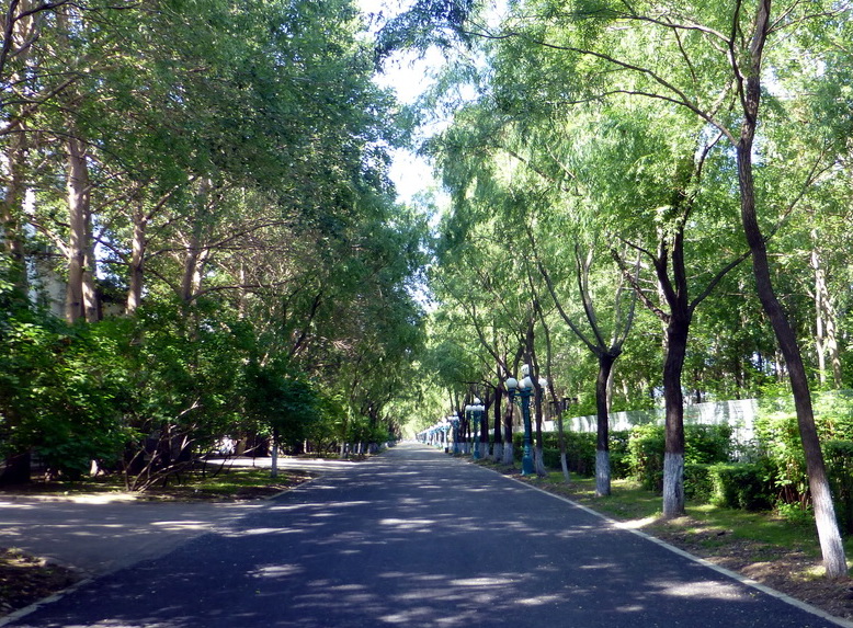 p1220656.jpg