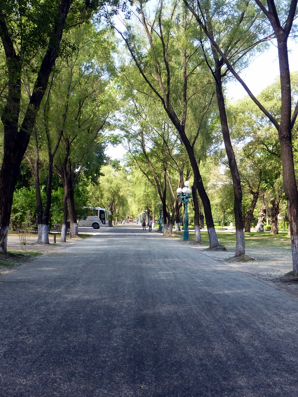 p1220660.jpg