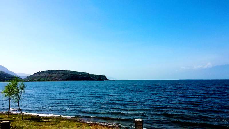 20140604_094614(1)_.jpg