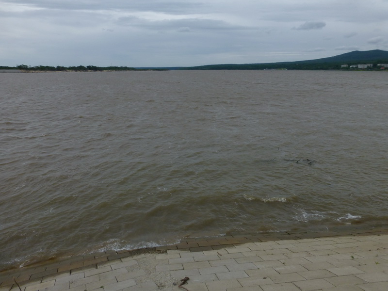 p1220833.jpg