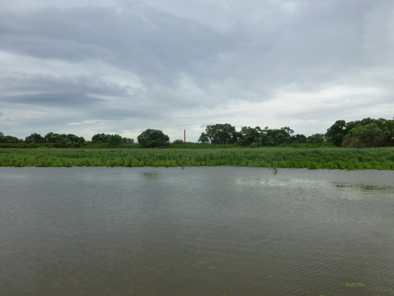 p1220910.jpg