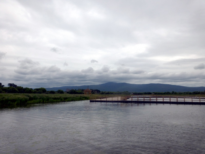 p1220933.jpg