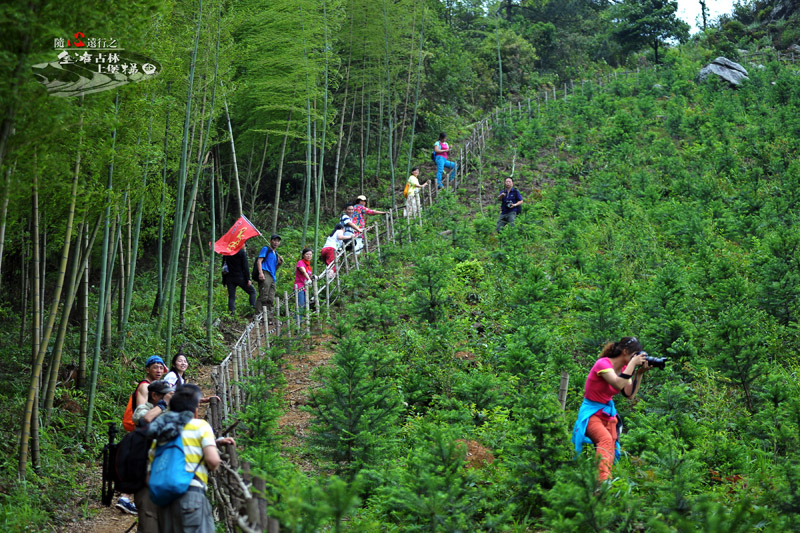 1sc_3981.jpg