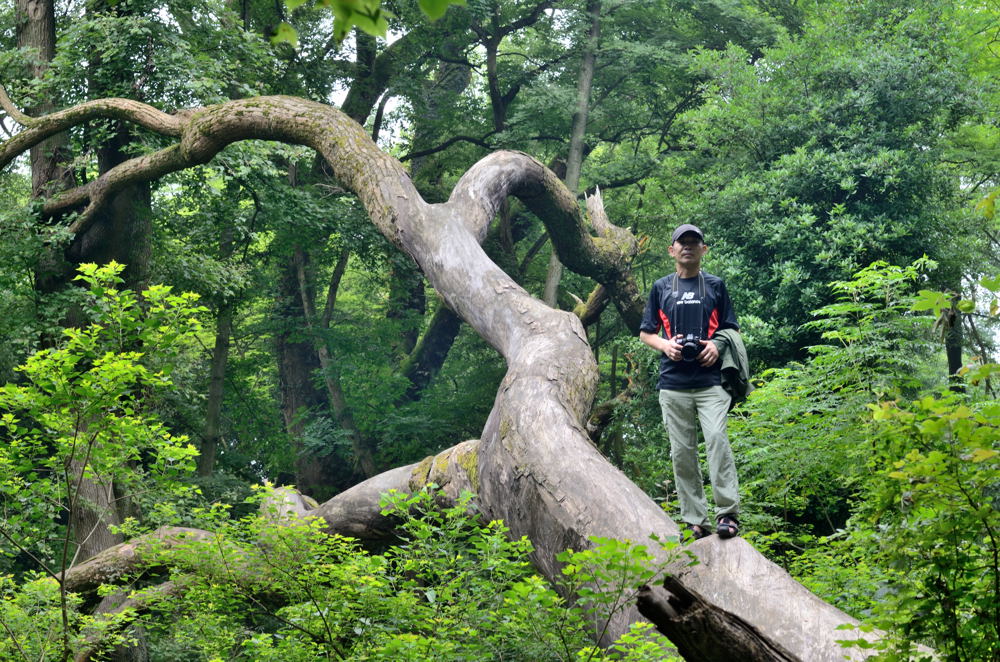 dsc_2532.jpg