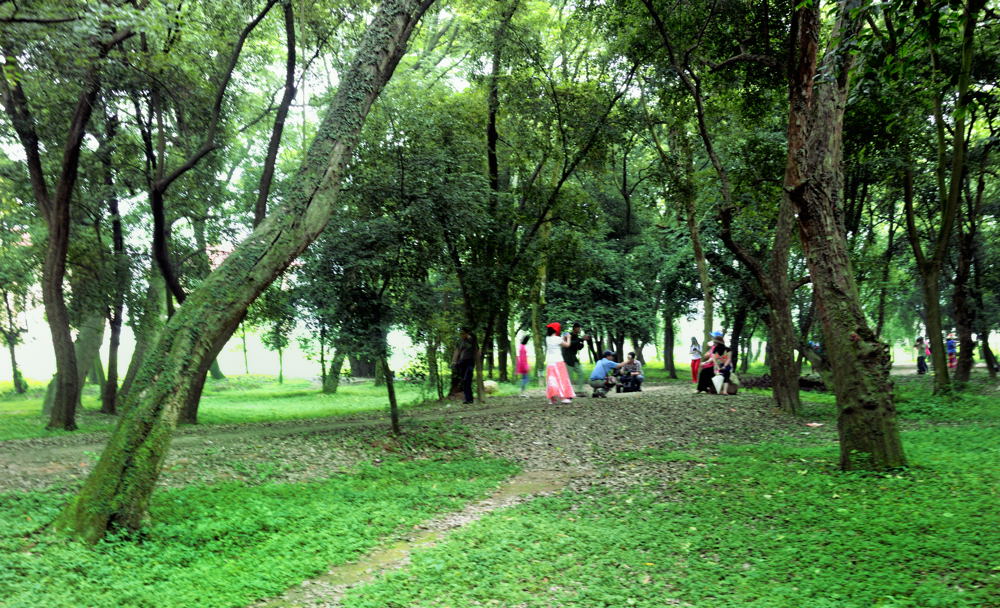 dsc_2395.jpg