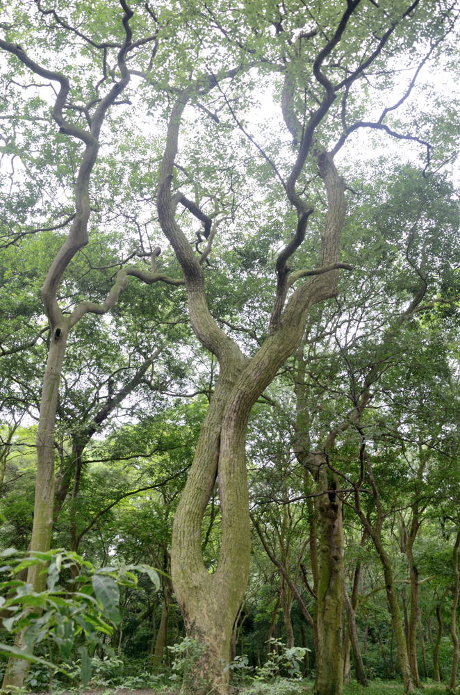 dsc_2410.jpg