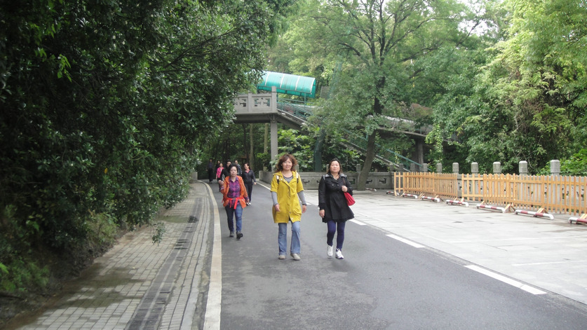dsc05093.jpg