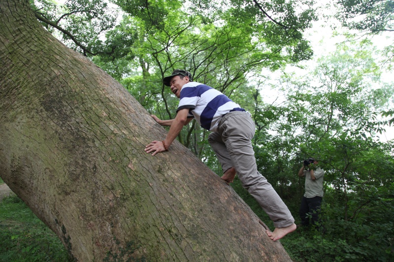 img_6468_conew1.jpg