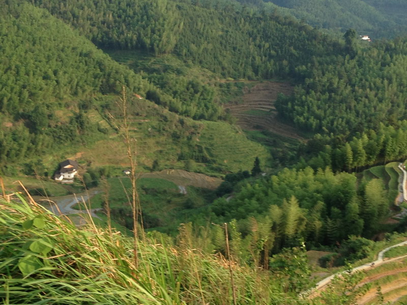 img_1865_С.jpg