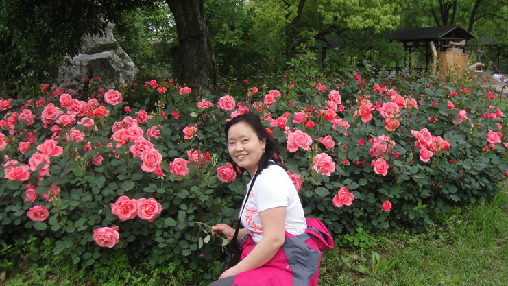 dsc05148.jpg