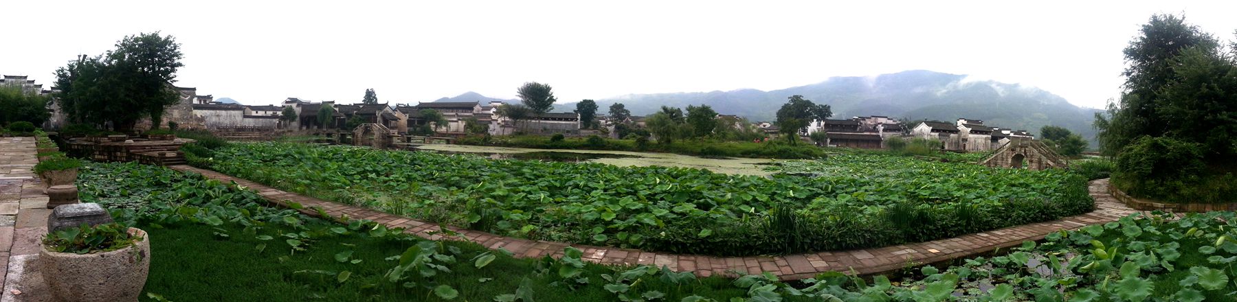 20140531_174647_.jpg