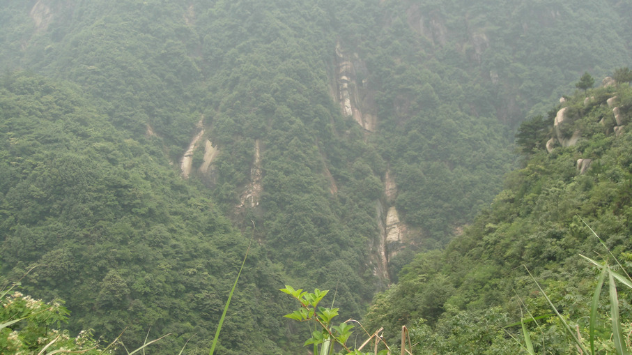 dsc07009.jpg