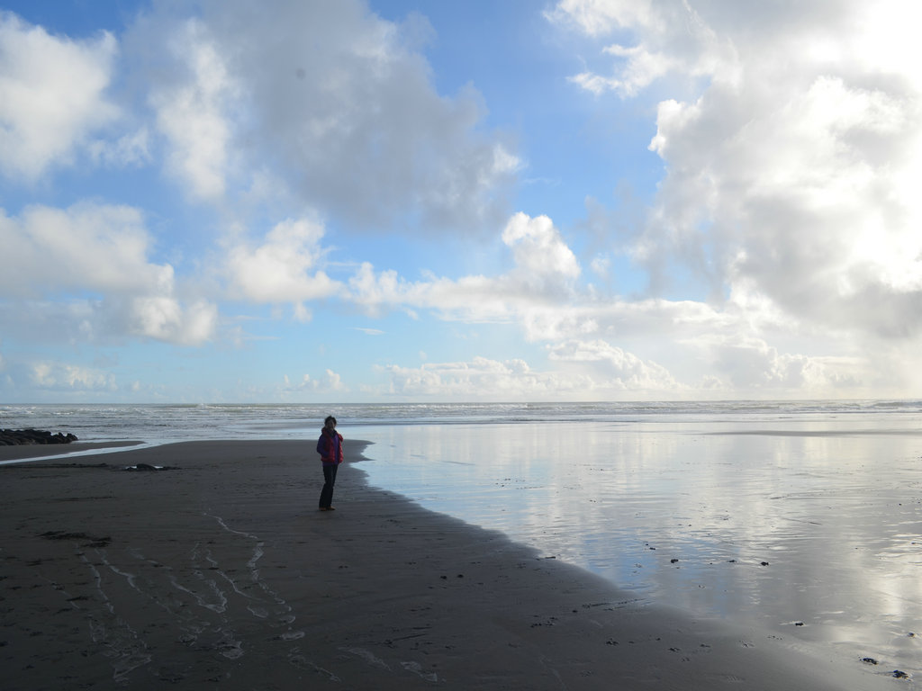 dsc_0502.jpg