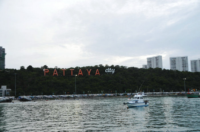 77.jpg