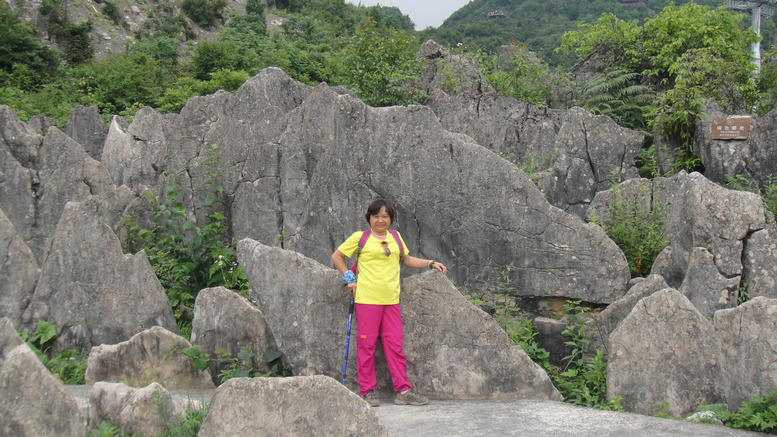 dsc01340.jpg