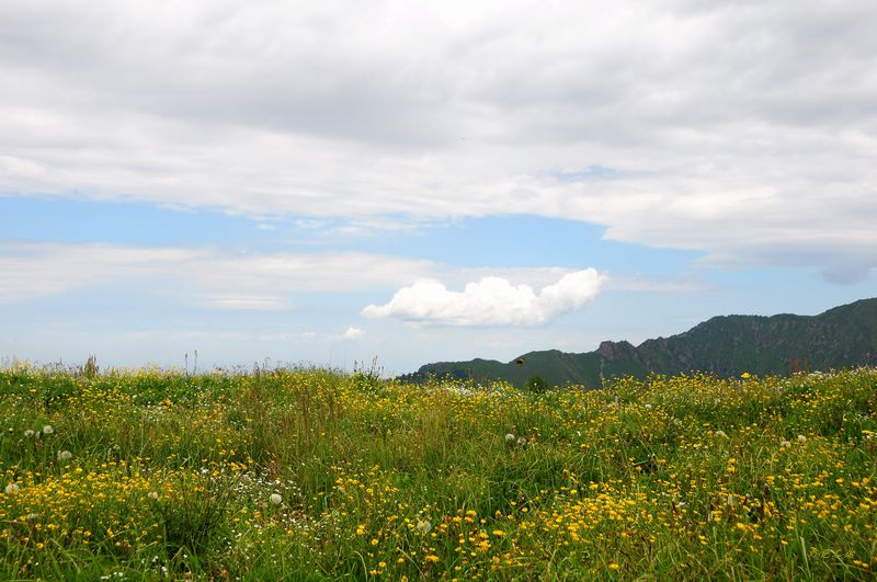 小五台b215.jpg