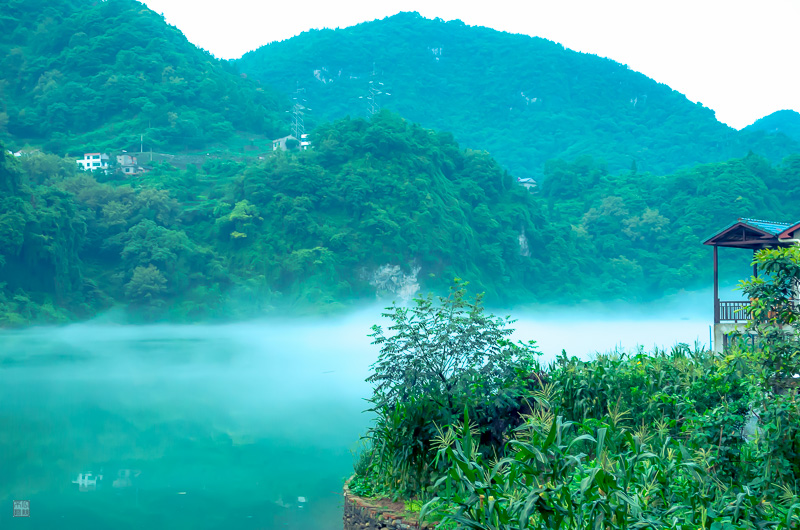 彭-3.jpg