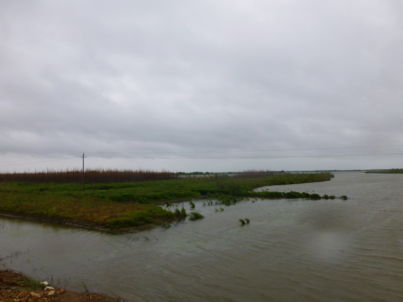 p1230013.jpg