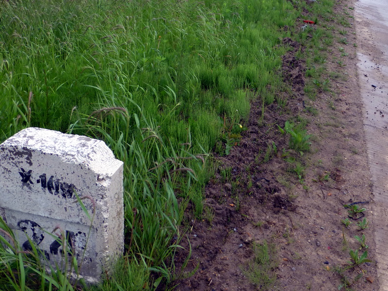 p1230016.jpg