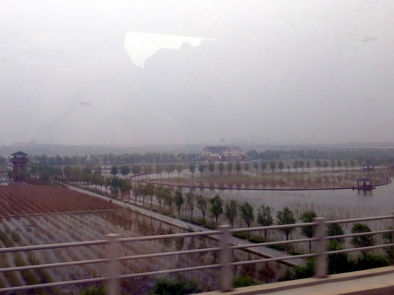 p1230174.jpg