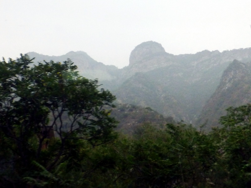 p1230188.jpg